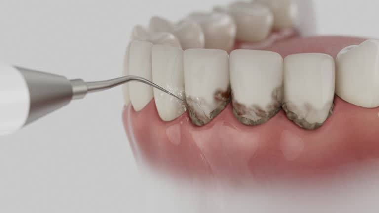 Reliable Dental contractor in Powells Crossroads, TN by Dentist Open Now